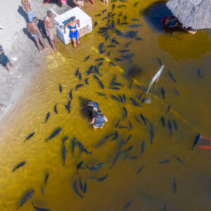 Lagoa Tambaquis aos Domingos/Feriados por R$149