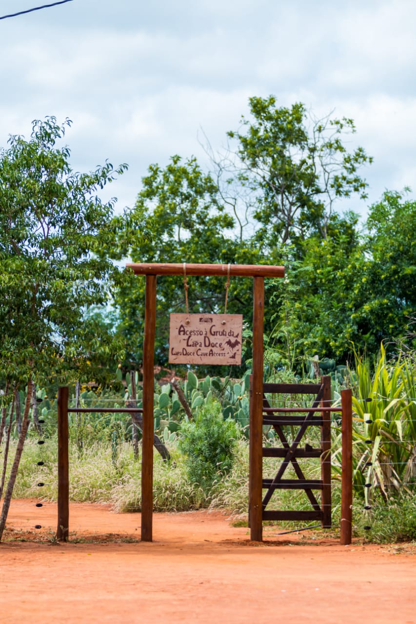 REVEILLON | Chapada Diamantina - Iraquara/Seabra >Mosquito, Pratinha, Pai Inácio, Lapa Doce, Mucugez 29 Dez a 01 Jan | Seg 23h a Qui 22h - Imagem 4