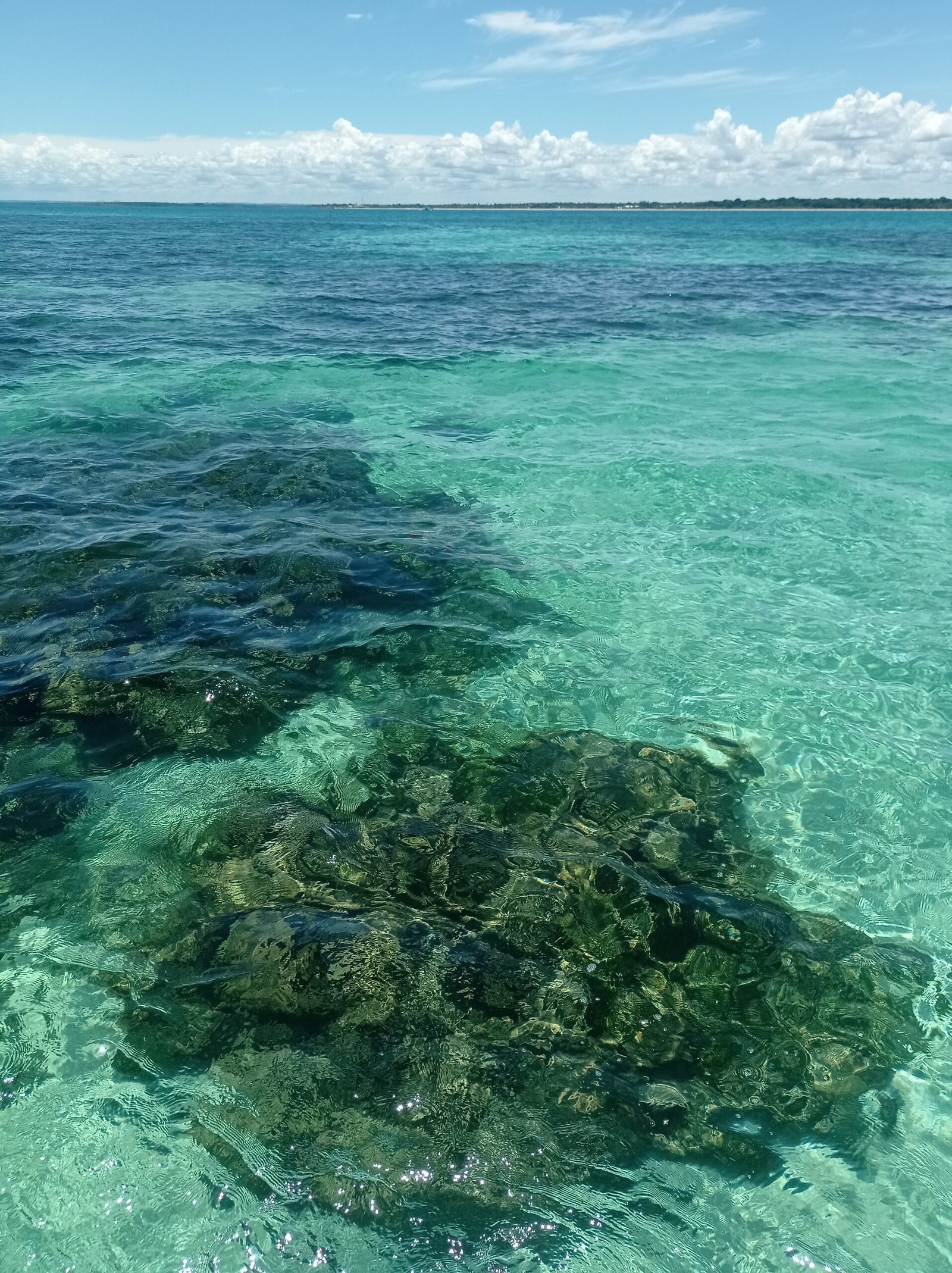 Piscinas Naturais de Caramuanas: Ilha de Itaparica – Vera Cruz Datas Disponíveis * 24 / 25 / 26 / 27 / 28 OU 30 de Setembro R$ 179,00 - Imagem 7