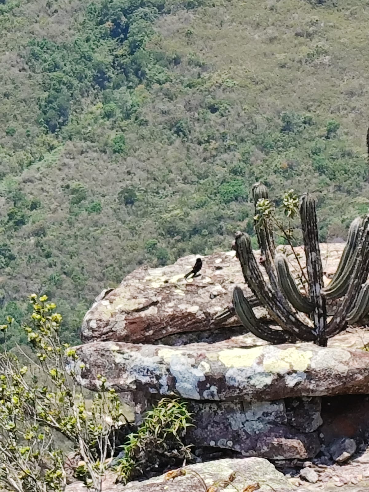 Lençóis (Pratinha, Morro do Pai Inácio, Poço do Diabo, Gruta da Lapa Doce e Muc *Hosp. em Lençóis - Imagem 9