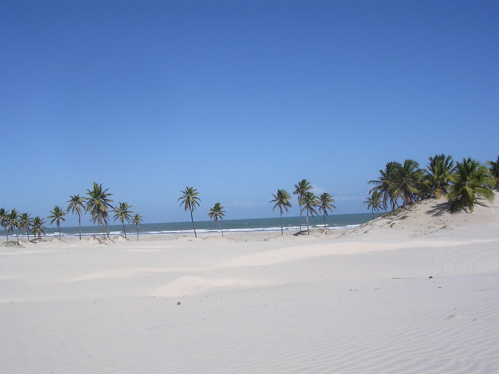 Mangue Seco aos Domingos e Feriados * R$ 149