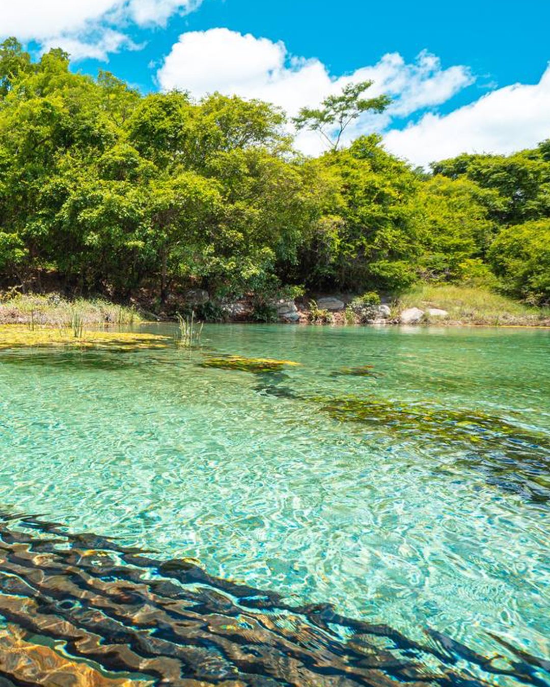 Chapada Diamantina - Hospédagem Iraquara/Seabra (Pratinha, Morro do Pai Inácio, Poço do Diabo, Gruta Lapa Doce) R$399 Datas: Disponíveis:> 20 a 22/03 >27 a 29/03 > 03 a 05/04 > 10 a 12/04 > 17 a 19/04 > 24 a 26/04 > 01 a 03/05 > 08 a 10/05 > 15 a 17/05 > 22 a 24/05 > 29 a 31/05 em 2026 - Imagem 3