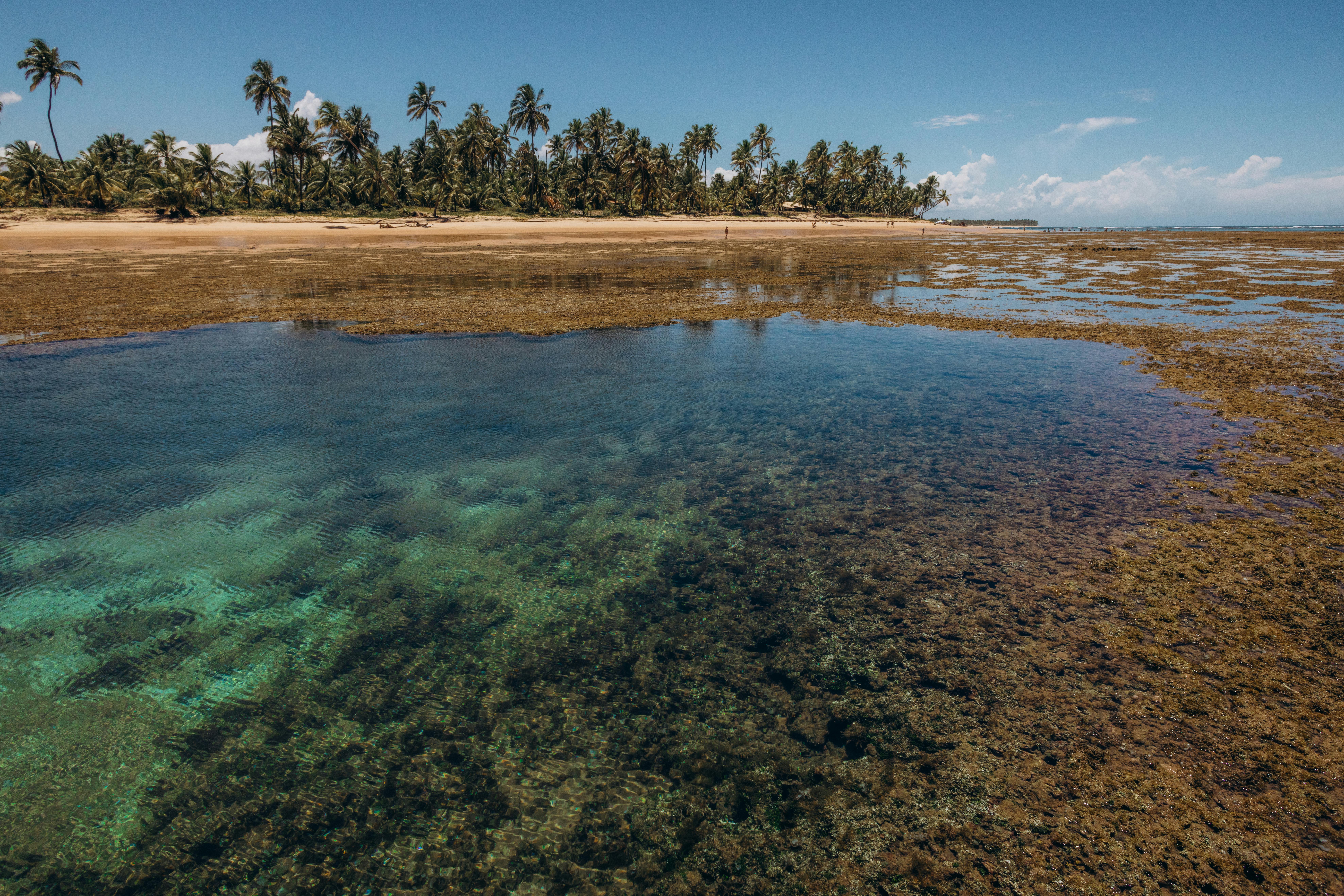 Barra Grande Maraú/BA + Taipú de Fora + Ponta do Mutá + Lagoa Azul + Lagoa Cassange + Farol de Taipu + Passeio de Escuna / Baía de Camamu( Barra Grande, ilha de Goió, Pedra Furada, Sapinho) Por R$ 799 02 a 05/abr